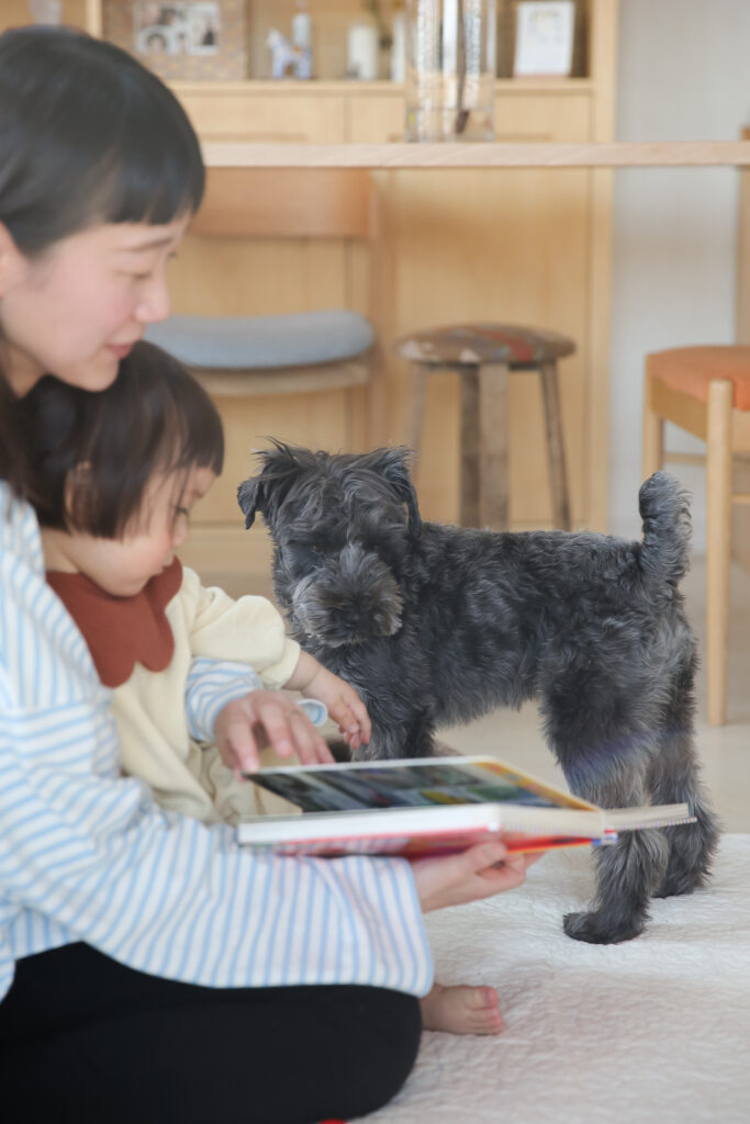 日常、暮らしの写真犬犬犬